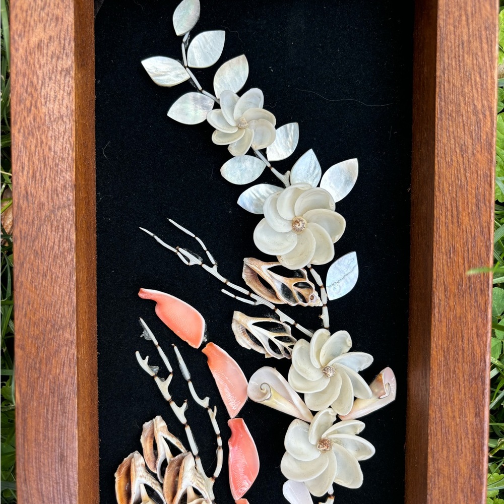 Rare Vintage Seashell Shadow Boxes ~ Wood & Black Velvet ~ Set of 2 - Picture 7 of 7